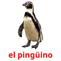 el pingüino cartões com imagens