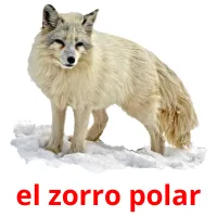 el zorro polar cartões com imagens