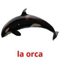 la orca cartões com imagens