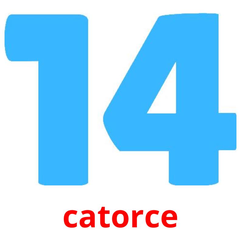 catorce picture flashcards