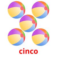 cinco picture flashcards
