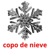 copo de nieve picture flashcards