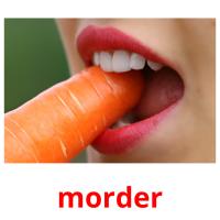 morder picture flashcards