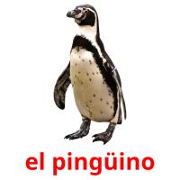 el pingüino card for translate