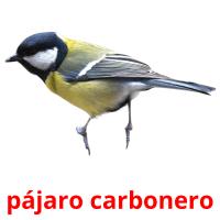 pájaro carbonero Tarjetas didacticas