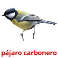 pájaro carbonero Bildkarteikarten