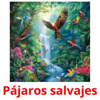 Pájaros salvajes Bildkarteikarten