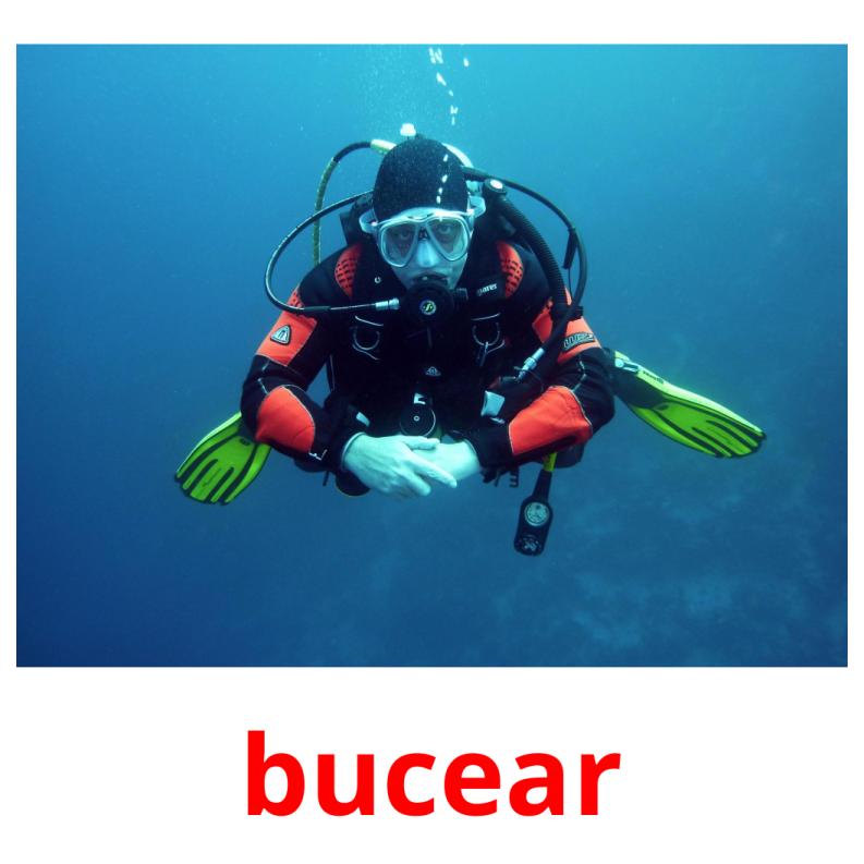 bucear picture flashcards