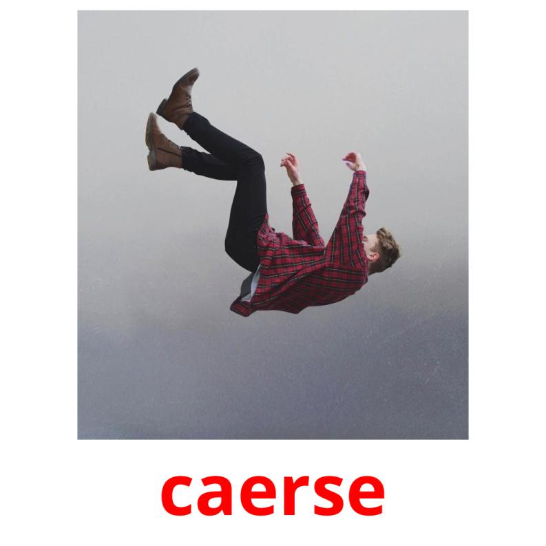caerse picture flashcards