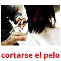 cortarse el pelo flashcards illustrate