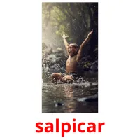 salpicar flashcards illustrate