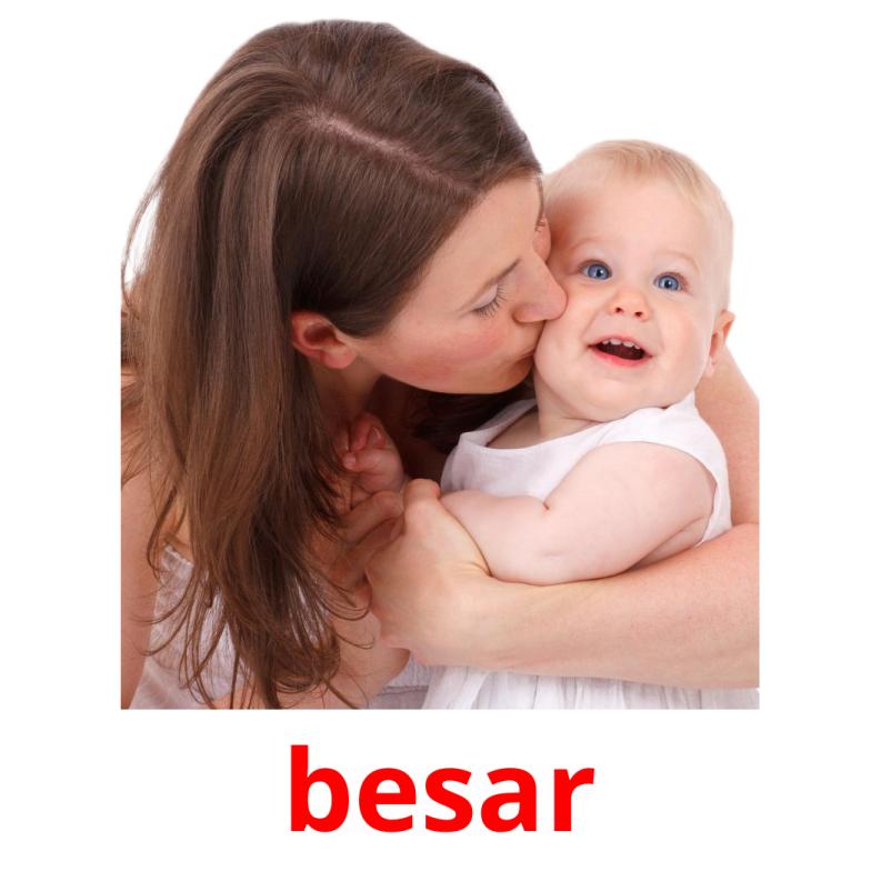 besar picture flashcards