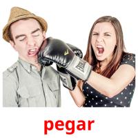 pegar card for translate