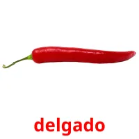 delgado Tarjetas didacticas