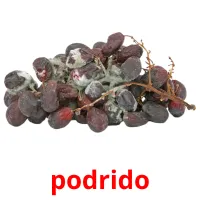 podrido Tarjetas didacticas