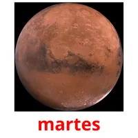 martes Bildkarteikarten