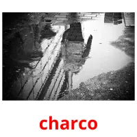 charco ansichtkaarten