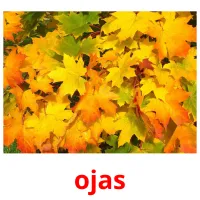 ojas ansichtkaarten