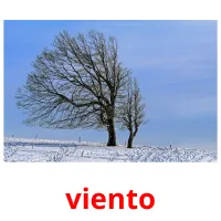 viento cartes flash