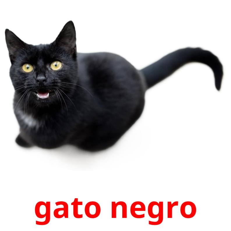 Gato negro interactive worksheet