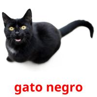 gato negro picture flashcards