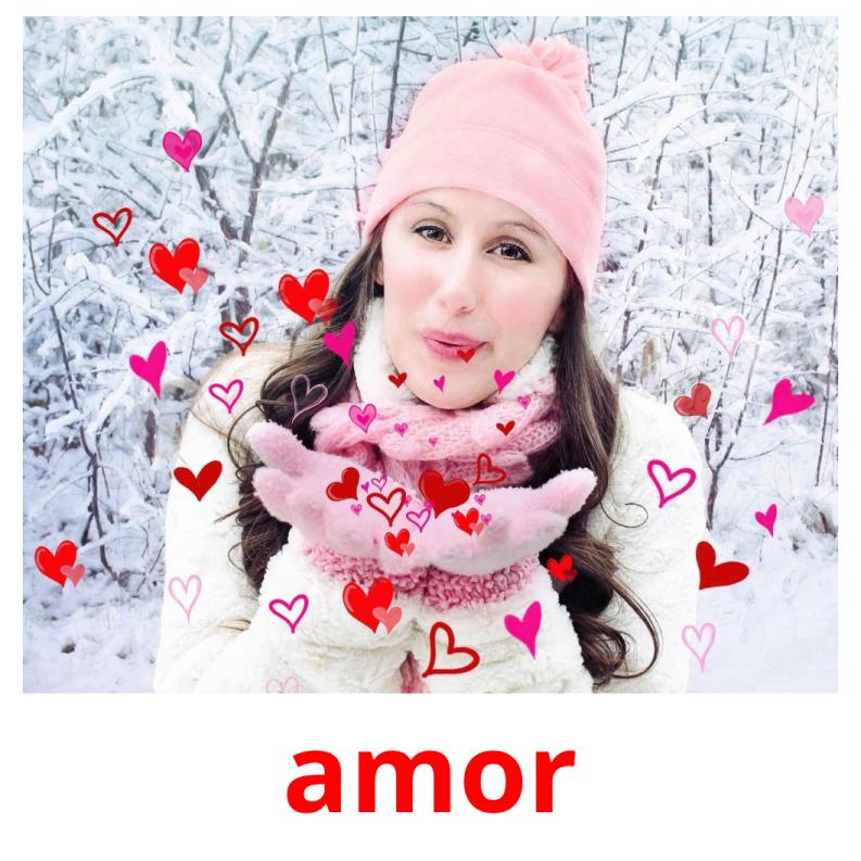 amor picture flashcards