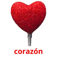 corazón flashcards illustrate