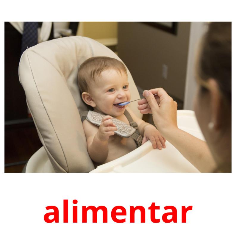 alimentar picture flashcards