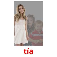 tía picture flashcards