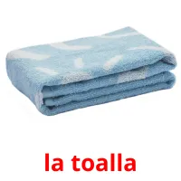 la toalla Tarjetas didacticas