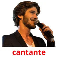 cantante cartes flash