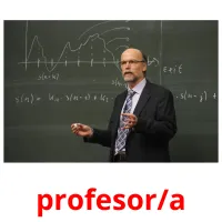 profesor/a cartes flash