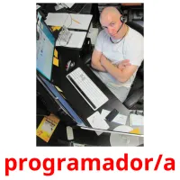 programador/a cartes flash