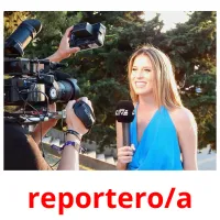 reportero/a cartes flash