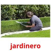 jardinero cartões com imagens