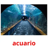 acuario cartões com imagens