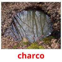 charco picture flashcards