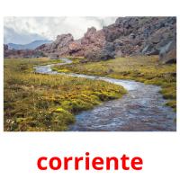 corriente card for translate
