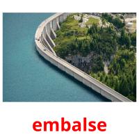 embalse picture flashcards