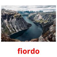 fiordo card for translate