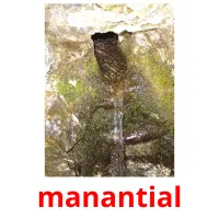 manantial cartões com imagens