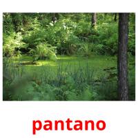 pantano card for translate