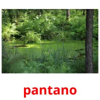 pantano cartões com imagens