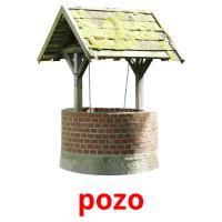 pozo card for translate