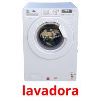 lavadora card for translate