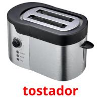 tostador picture flashcards