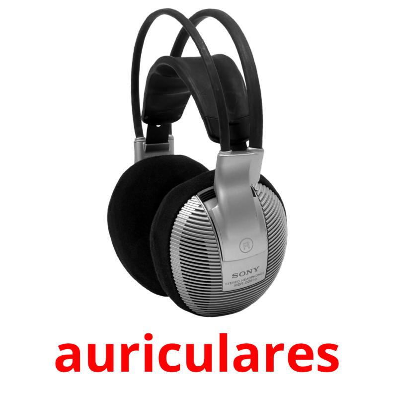 auriculares picture flashcards