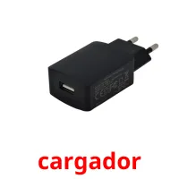 cargador cartes flash