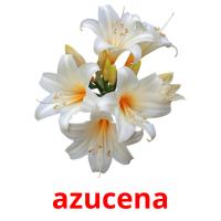 azucena card for translate