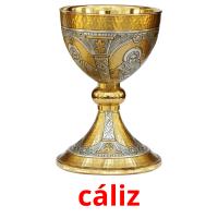 cáliz card for translate